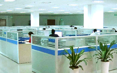 河南雙誠技術部增添綠植，提升辦公環境